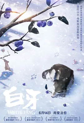陈小雨的教育经历同样特别。