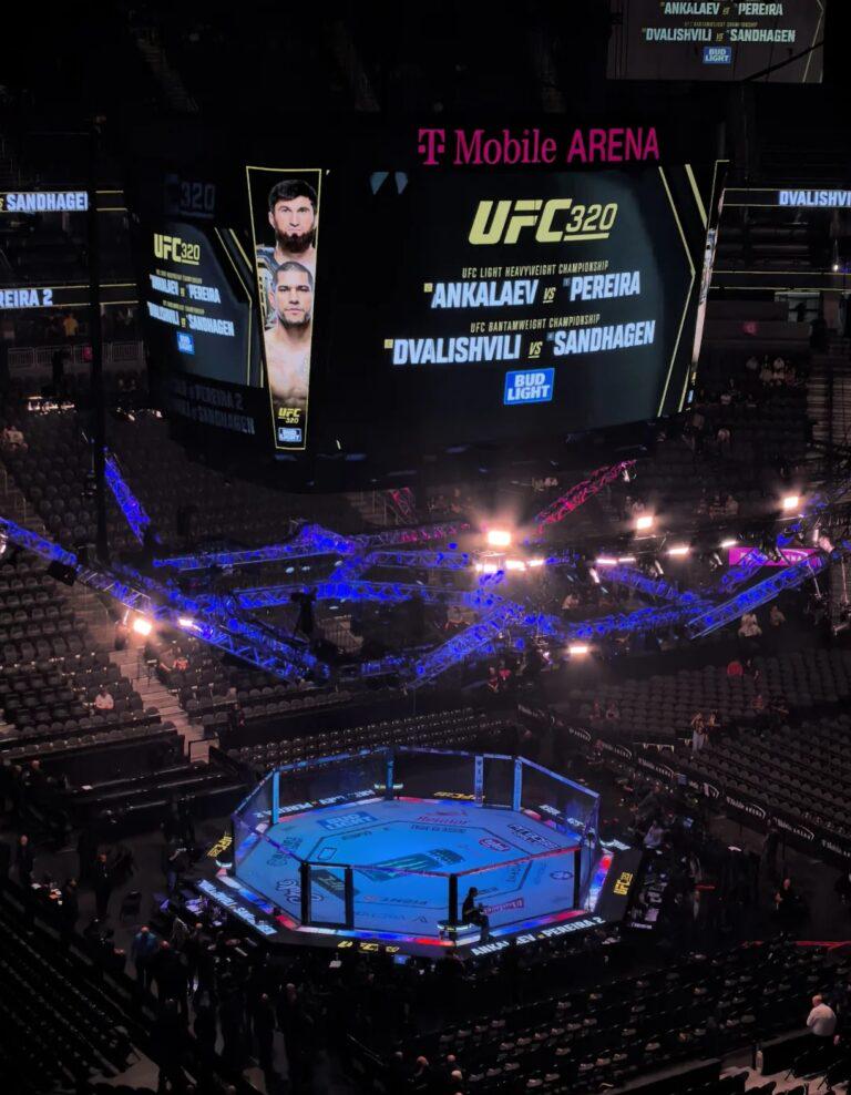 八角籠年度終章！蠅量級王位前奏戰+前冠軍首秀，2025 UFC格鬥之夜終極觀戰指南