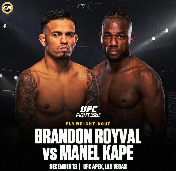 UFC蠅量級選手激烈對戰示意圖