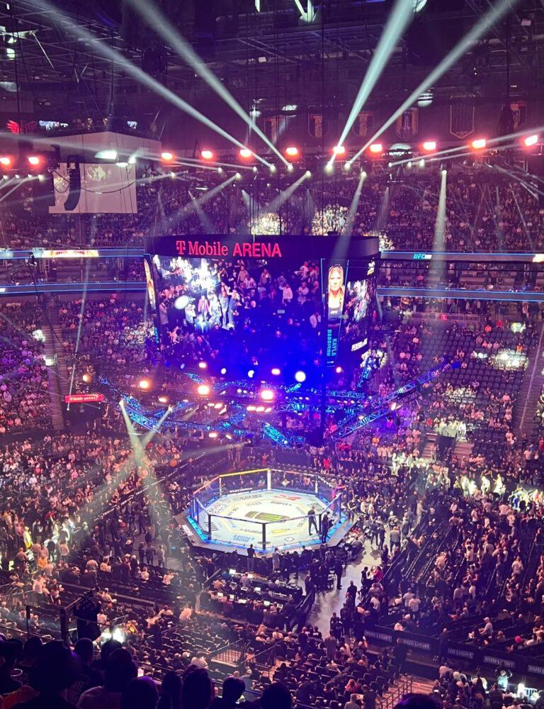 八角籠年終激戰：蠅量級王位前奏與不敗冠軍首秀